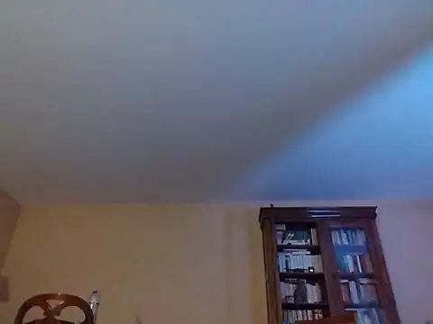 Perv10n Webbikameraesitys