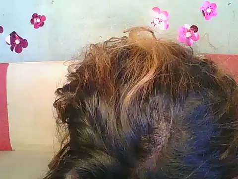 Živý XXX chat cathy_doll28