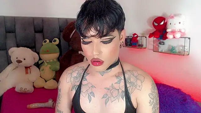 little_star_porn 웹캠 쇼