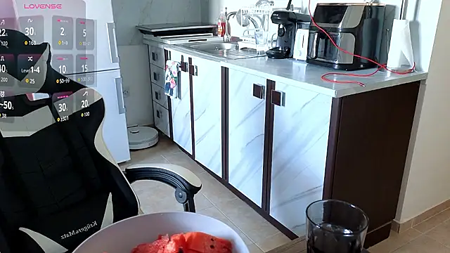 RyanStorm_ Show in webcam