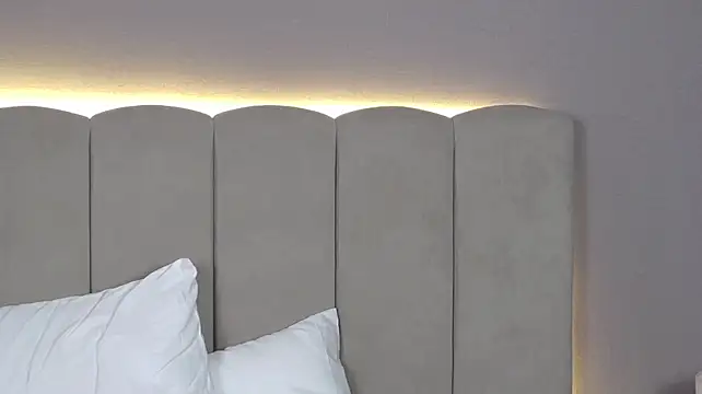 EvaBlunnsh_n Webbikameraesitys