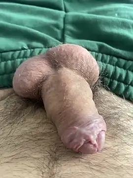 Diggaoder Pertunjukan Webcam