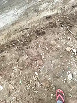 Sembang XXX Secara Langsung Chanderi19