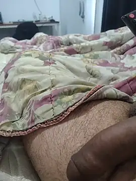 Willdpon Webbikameraesitys