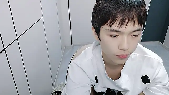 T2028T 网络视讯表演