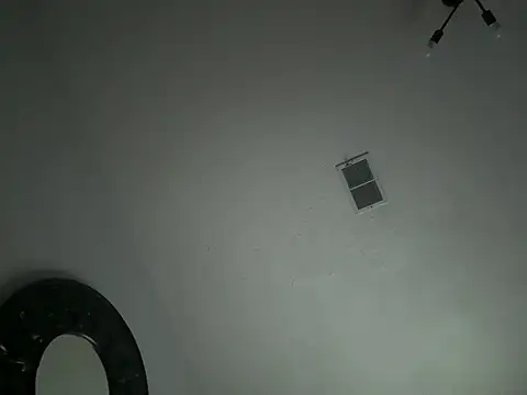 SpannedHazelnut Show in webcam
