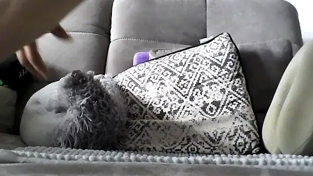 berfri Webcam-Show