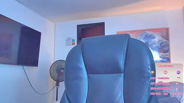 RJBarto Show Webcam