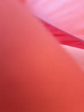 SexyErola27's Live XXX Chat