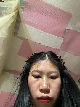 Spying_bird 网络视讯表演