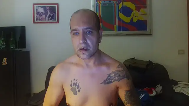 AMIRDIB2025 Webcam-Show