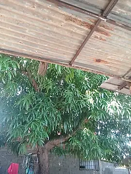 Noscay Шоу с уебкамера
