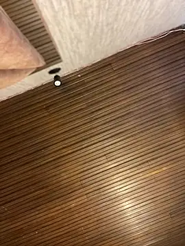 PamelaJonsom_ Live XXX Chat