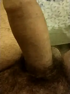 Show webcam de horrnydady