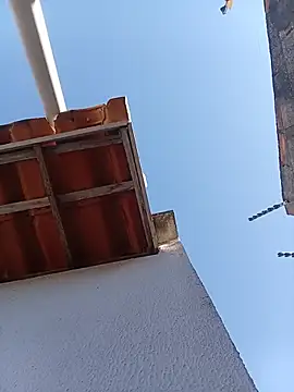 Chat +18 de edisantos ao vivo