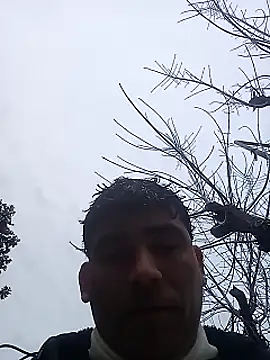 wa379 লাইভ XXX চ্যাট