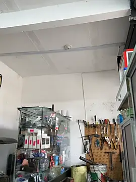 Chat +18 de Paul22cm- ao vivo