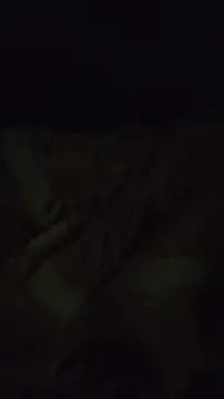 Malludubai69 网络视讯表演