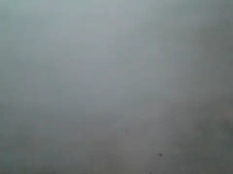 Foxboy65 Chat XXX live