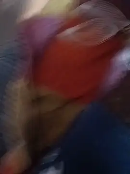 sexybhabi114 লাইভ XXX চ্যাট