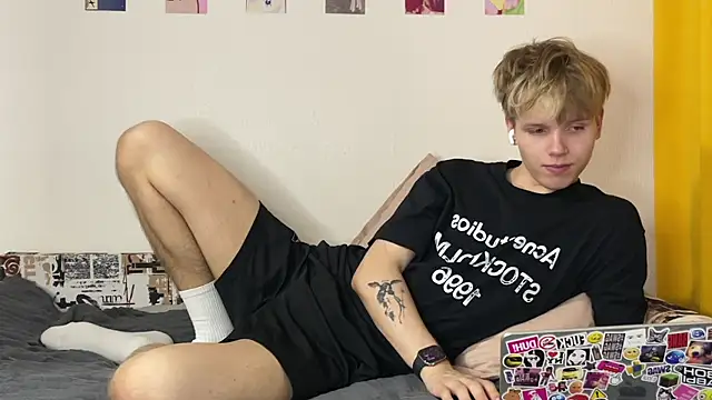 metarion webcam show
