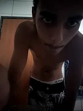 Show de webcam de vertin07
