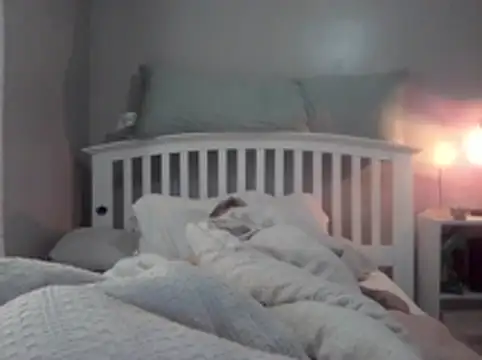 Show Webcam de Mark4550