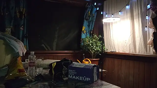 Vuitton Webcam-Show