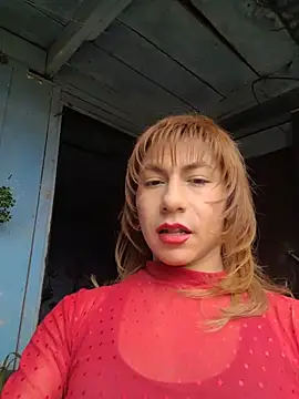 הופעת וובקאם של Evehamp