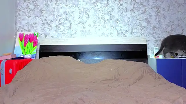 Baiambel_Mi Live XXX-Chat