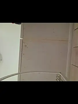 Show webcam de piggylatino