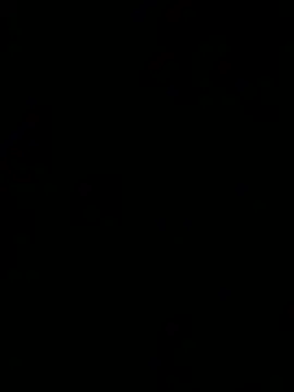 Show webcam de ALANNFERRER