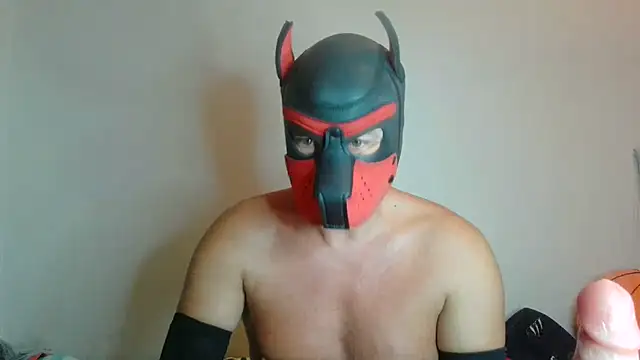 Maskpor2022 Show Webcam