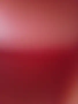 Elpijonok webkamerás műsora