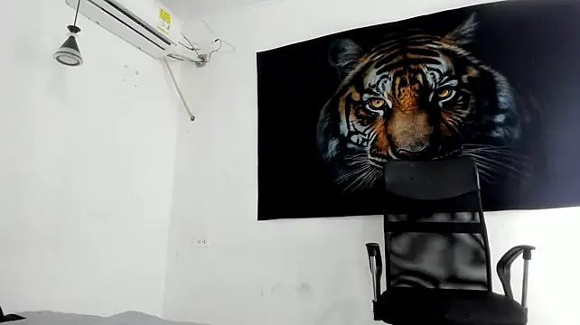 rickyfrikin Webbikameraesitys