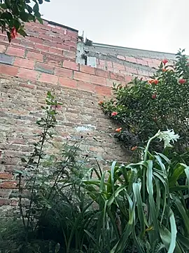 Emily_Gomezz লাইভ XXX চ্যাট