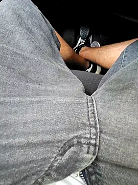 Show de webcam de Vemver01