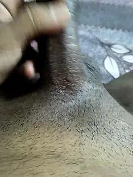 desi_pb02 网络视讯表演
