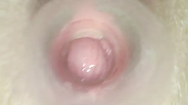 Chat +18 de karol_stom ao vivo