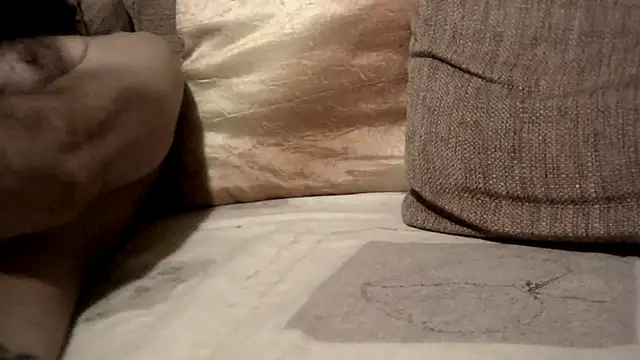 here51 Show in webcam