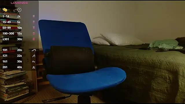 Danmetsen – webcam-show