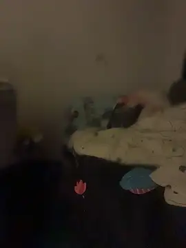 pophiboy Pertunjukan Webcam