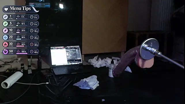 LowalSub Webcam-Show