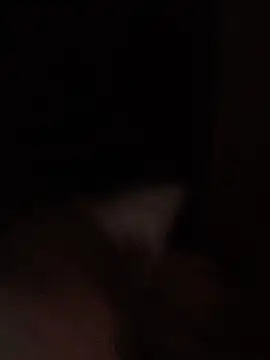 minim388 – Kamerová šou