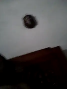 Pernas66 webkamerás műsora