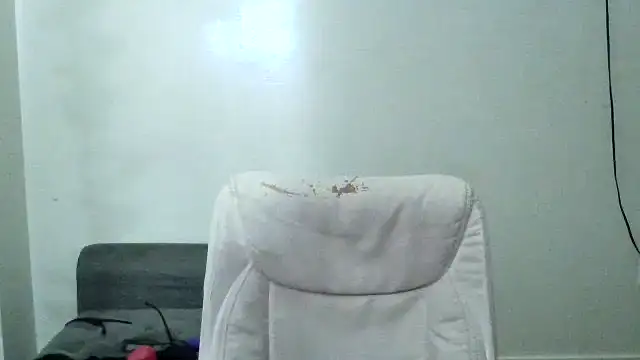 mzpretty444 Show in webcam