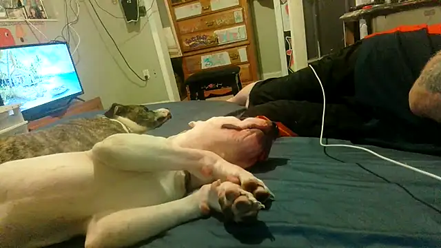 PornStro921's Live XXX Chat