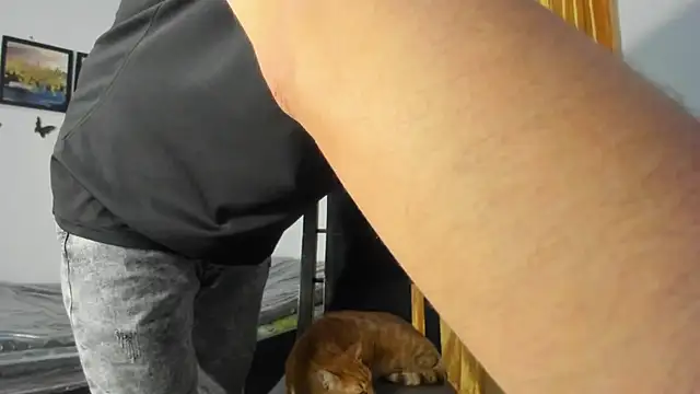Vlad__night 라이브 XXX 채팅