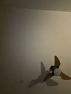 Ferslmn Webbikameraesitys