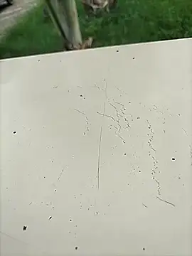 عرض كام Pitercom